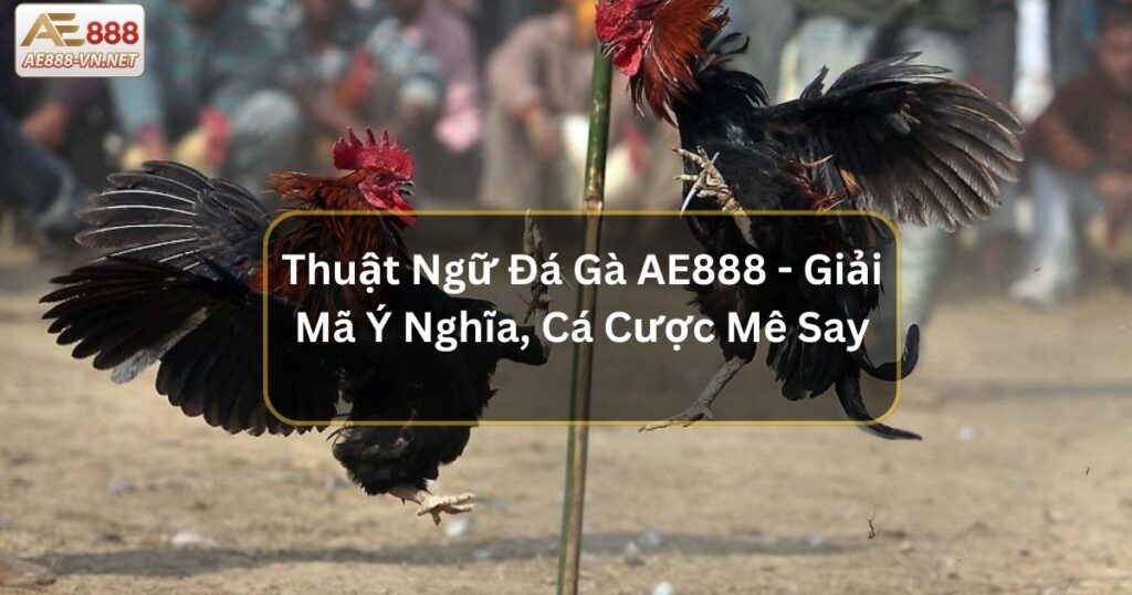 Thuật Ngữ Đá Gà AE888 - Giải Mã Ý Nghĩa, Cá Cược Mê Say