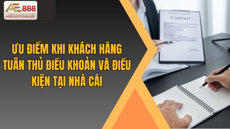 Tầm quan trọng của điều khoản và điều kiện AE888 